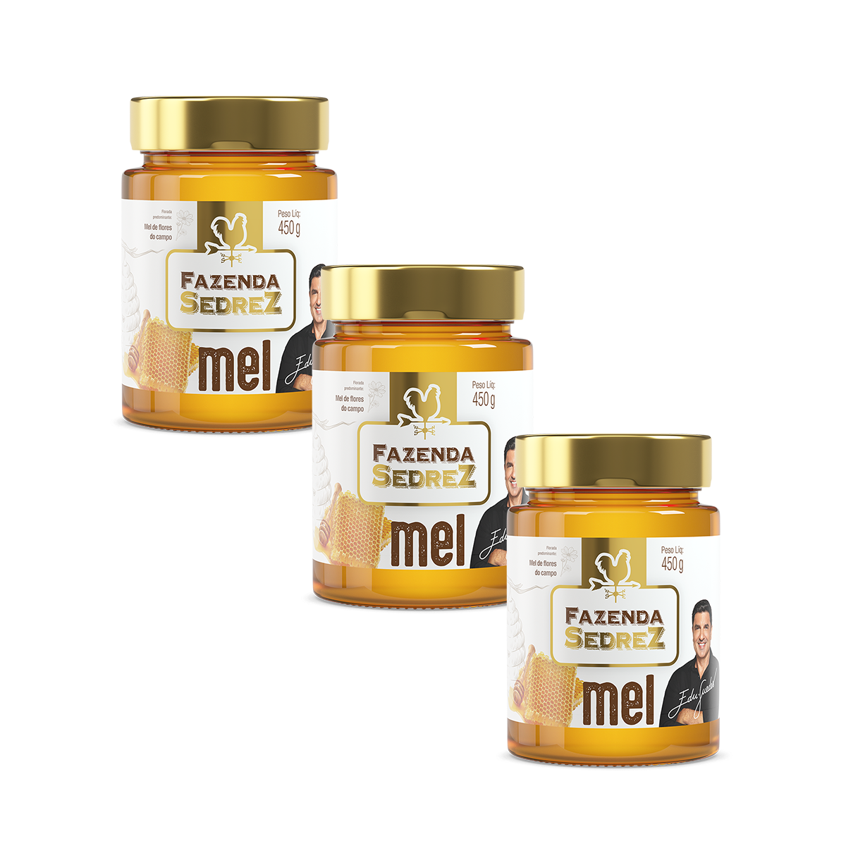 Combo Mel Flores do Campo Vidro 450g Fazenda Sedrez - 3 unid